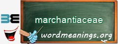 WordMeaning blackboard for marchantiaceae